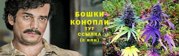 индика Богородицк