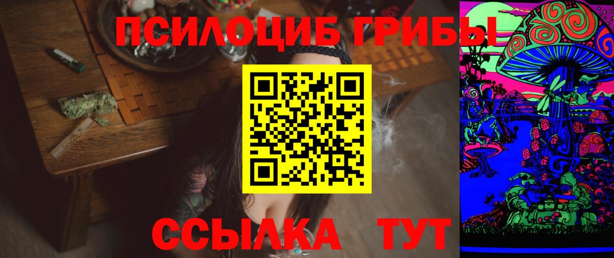 Ртищево  магазин    Вход с VPN  Псилоцибиновые грибы Magic Shrooms 