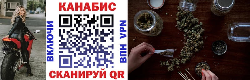 где купить наркоту  Ртищево  Шишки марихуана планчик 